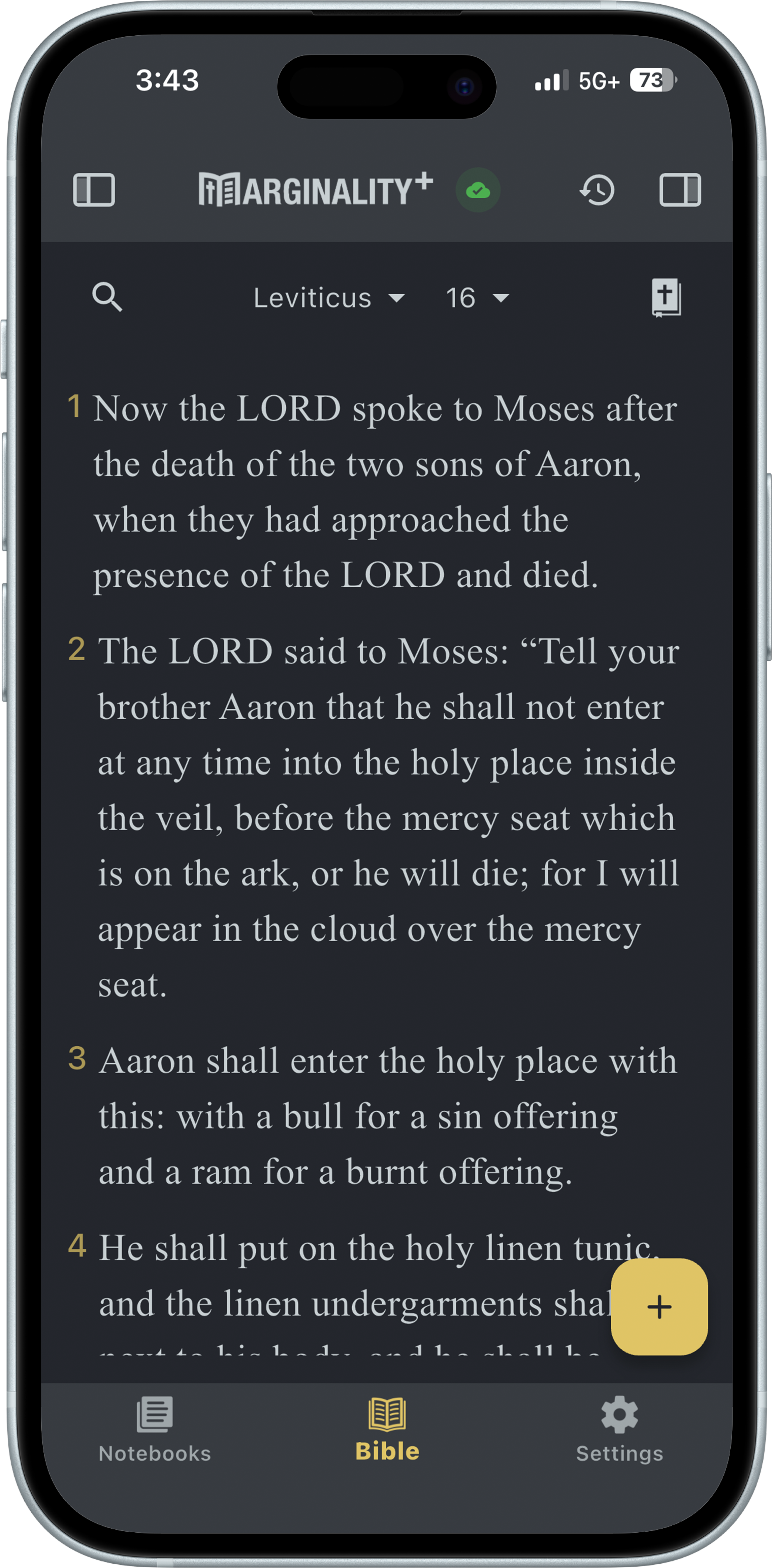 Marginality Bible reading view on an iPhone